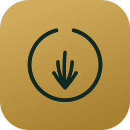 Palma app icon — a deep green frond falling within an open circle, on gold